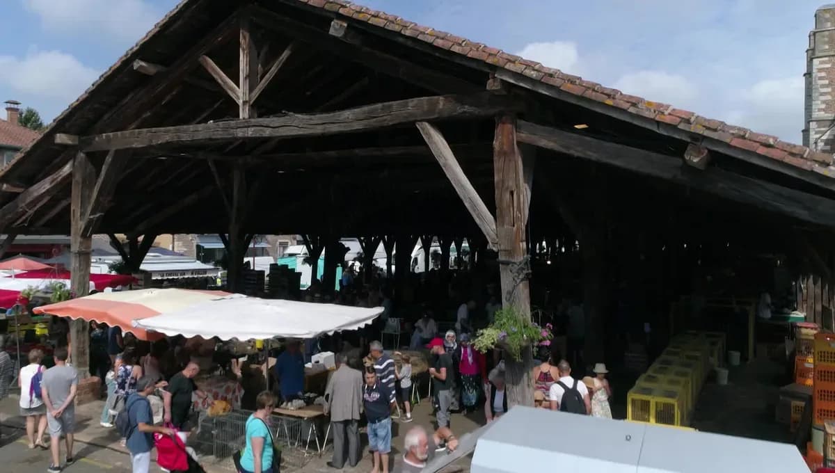 Marchés, commerces, Saint-Lunaire et ses environs
